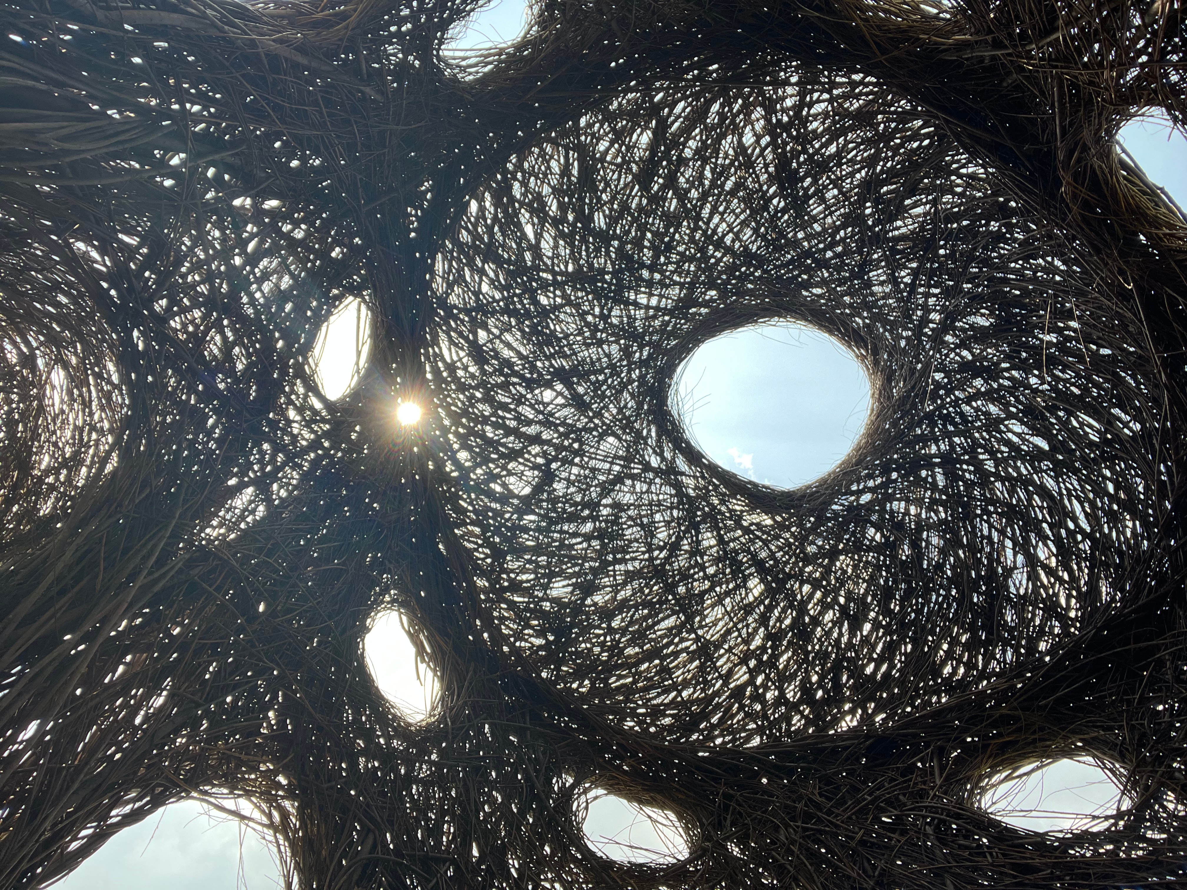 Tips de Feng Shui para elegir tu próxima vivienda